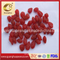 High Sugar Dried Strawberry with Kosher Certificate